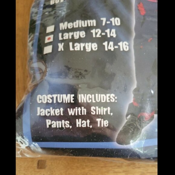SPIRIT Un-dead Officer Costume Sz. Large 12-14 Gently Used - Picture 3 of 4
